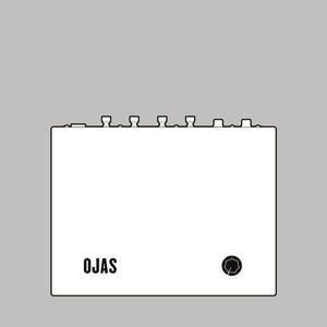 Ojas Class D 15 WPC Power Amplifier