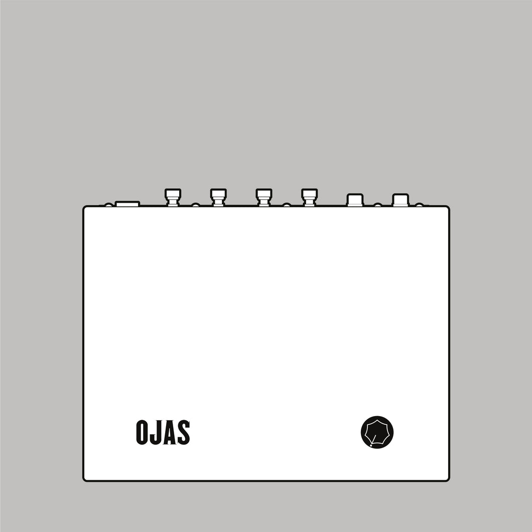 Ojas Class D 15 WPC Power Amplifier